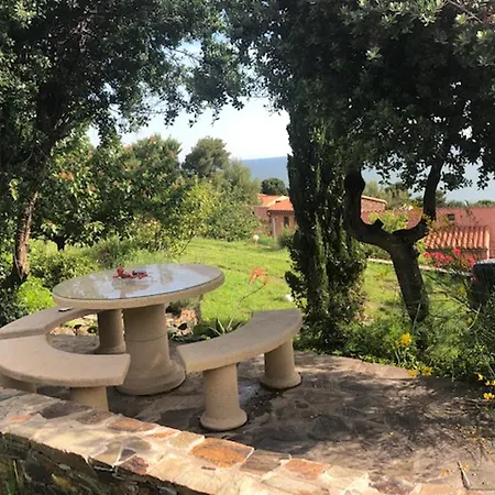 Lumineux A Avec Terrasse Et Vue Sur Collioure